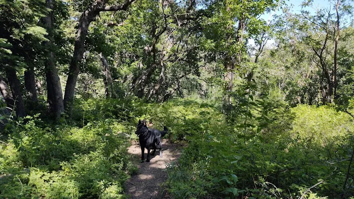 Upper Pinal Campground 0