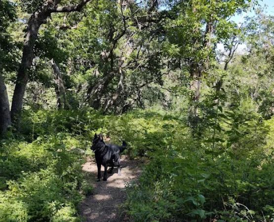 Upper Pinal Campground