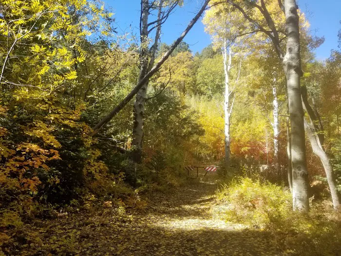 Upper Pinal Campground 5