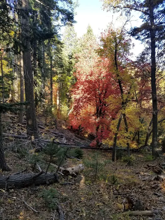 Upper Pinal Campground 9