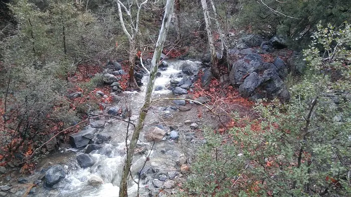 Kellner Campground 9