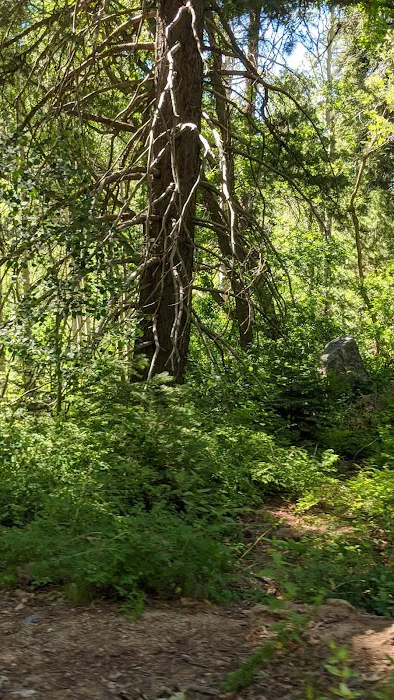 Kellner Campground 2
