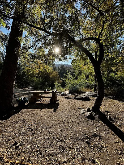 Pioneer Pass Campground 3