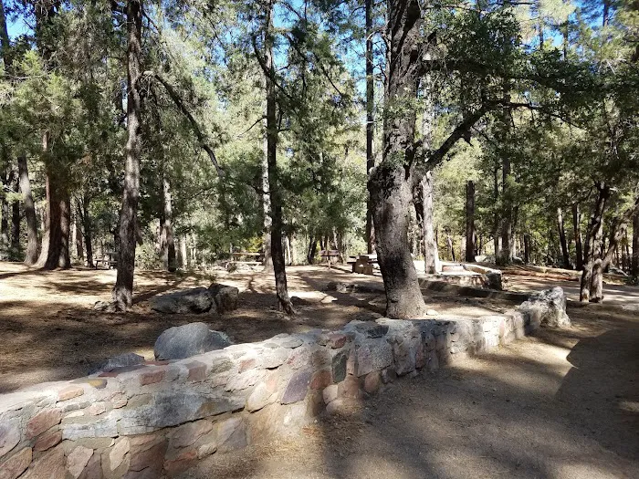 Pioneer Pass Campground 1