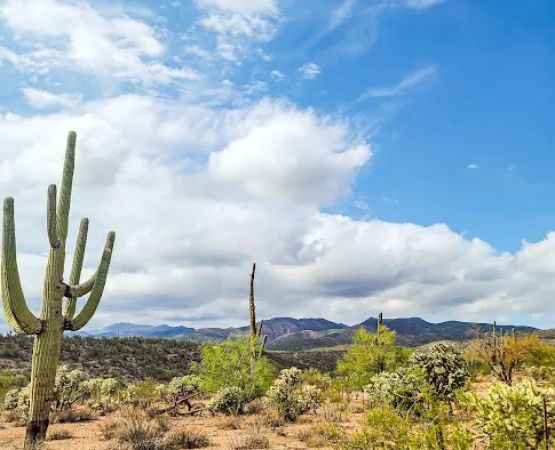 Mescal Mountain OHV Area