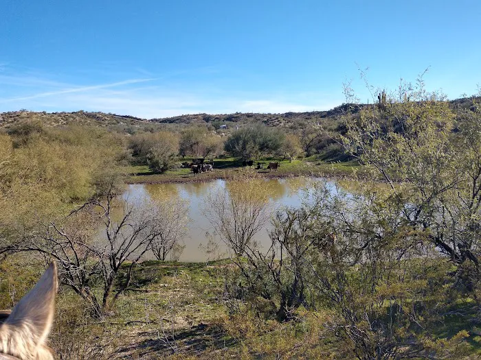 Ride Out Ranch 4