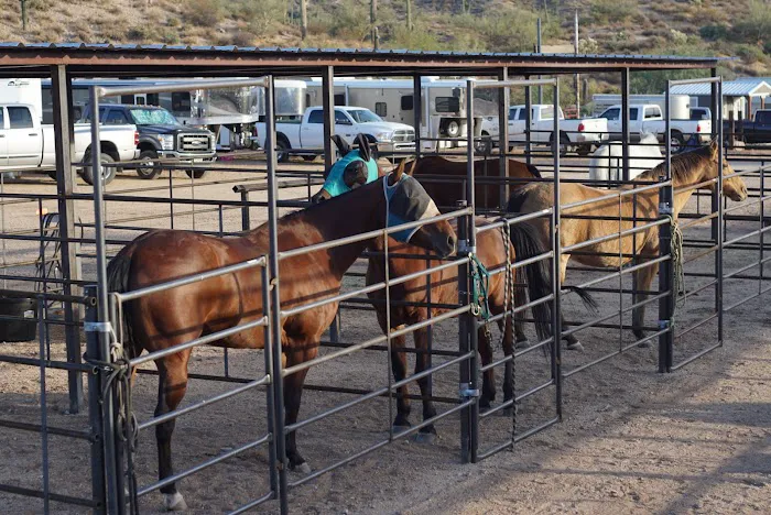 Ride Out Ranch 1