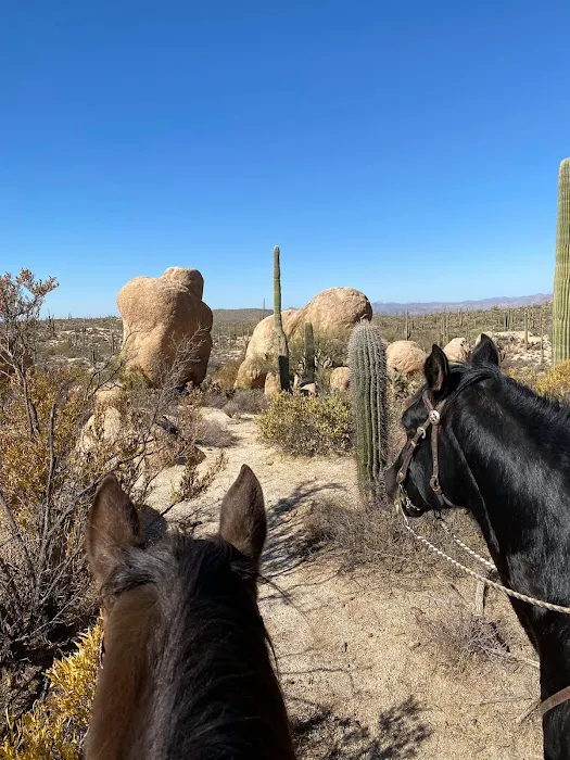 Ride Out Ranch 5