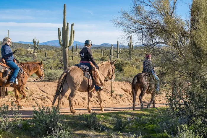 Ride Out Ranch 8