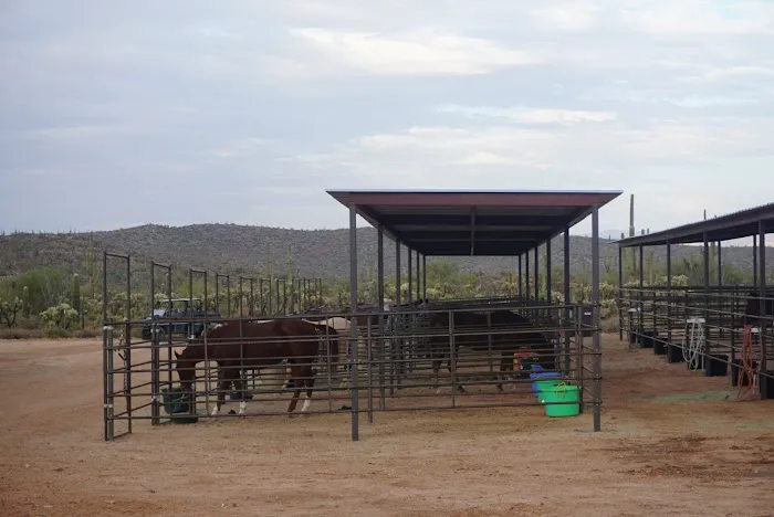 Ride Out Ranch 6