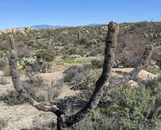 The Boulders