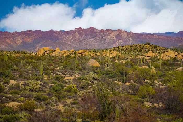 The Boulders 8