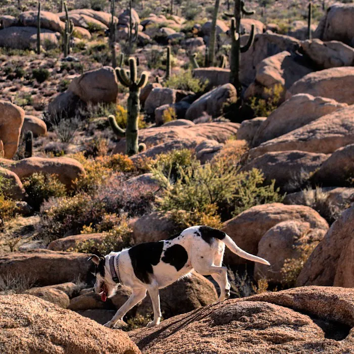 The Boulders 5