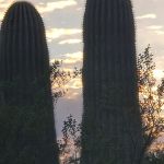 Kearny Lake Campgrounds