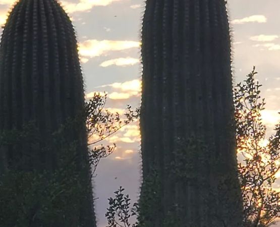 Kearny Lake Campgrounds