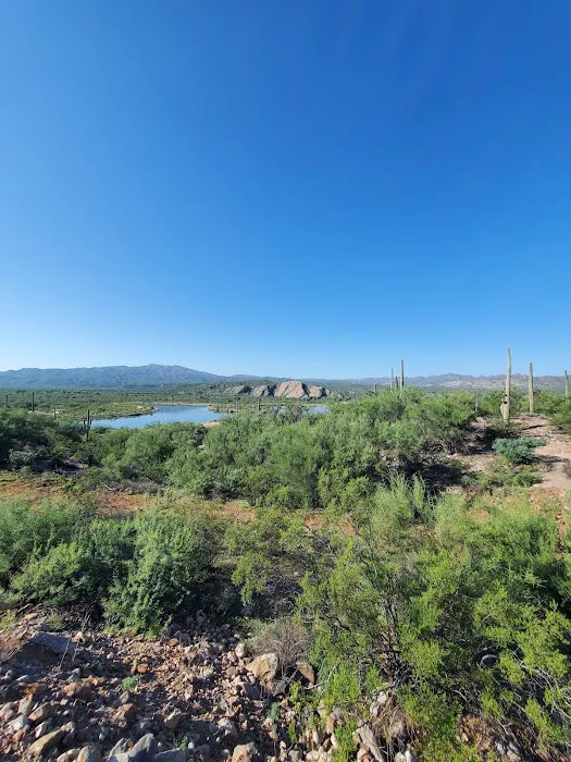 Kearny Lake Campgrounds 5