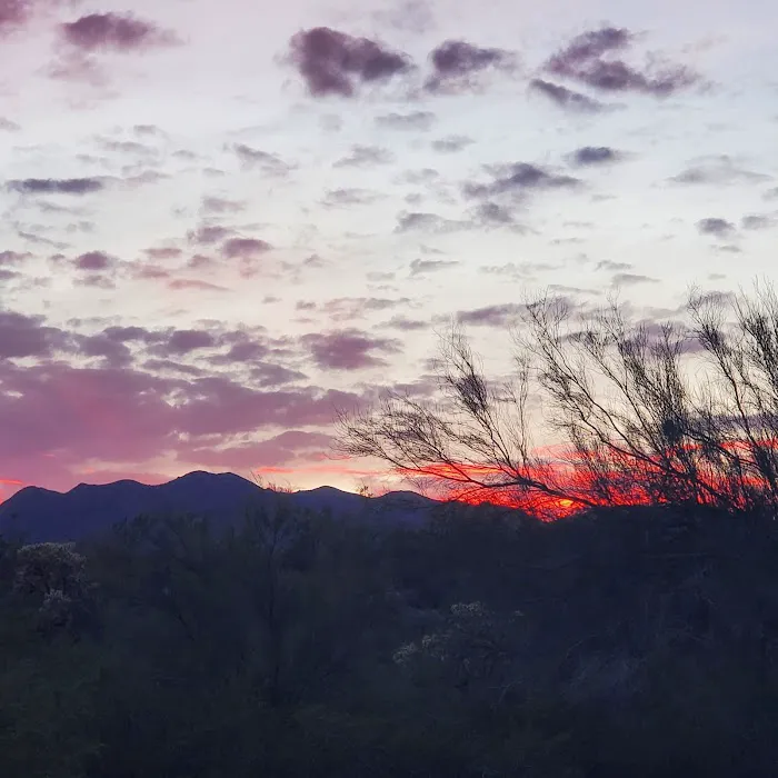 Kearny Lake Campgrounds 2