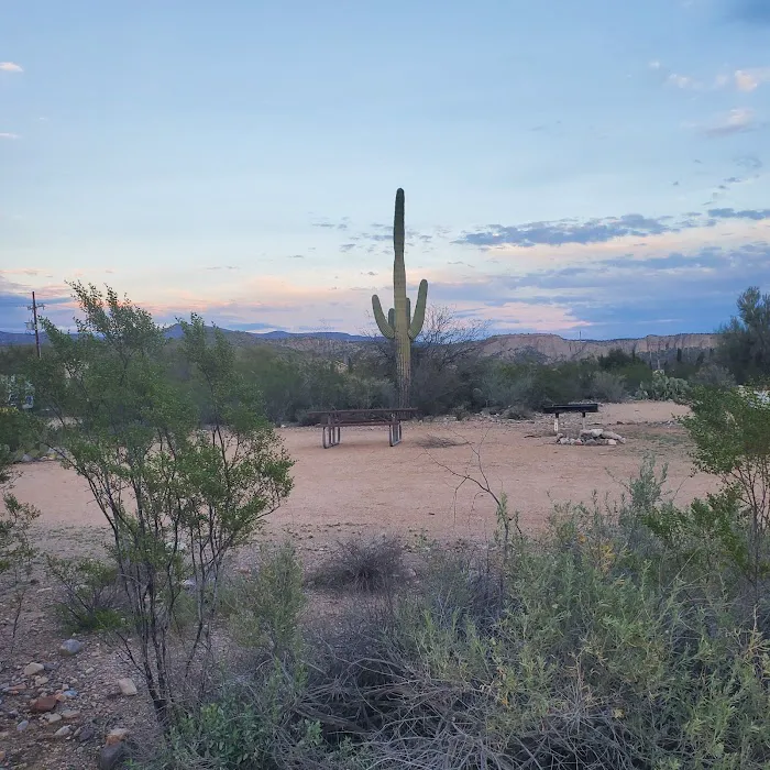 Kearny Lake Campgrounds 9