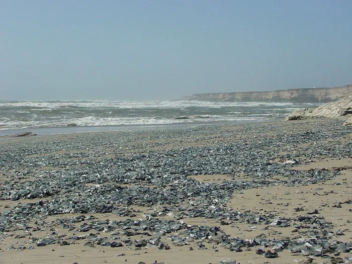 Vandenberg Space Force Base - Wall Beach Campground 9