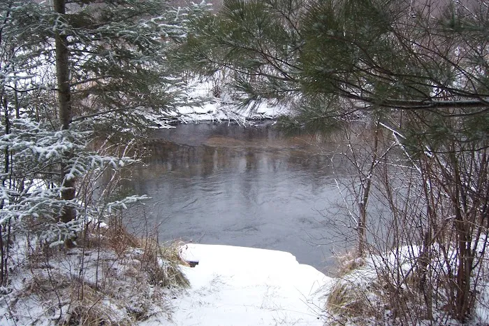 Pine Grove State Forest Campground 3