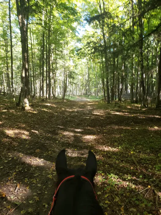 Elk Hill Equestrian State Forest Campground and Trail Camp 9