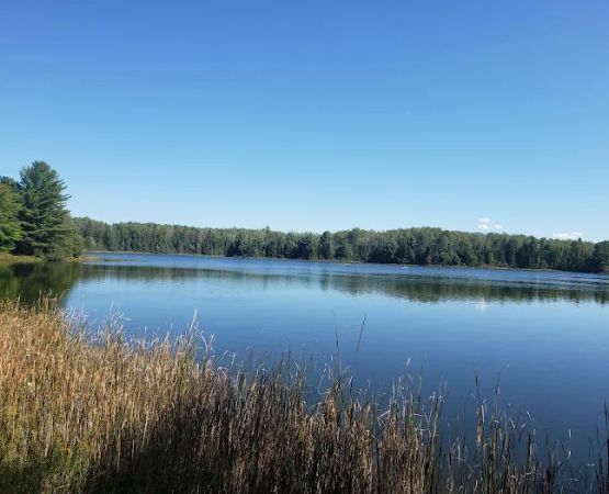 Elk Hill Equestrian State Forest Campground and Trail Camp