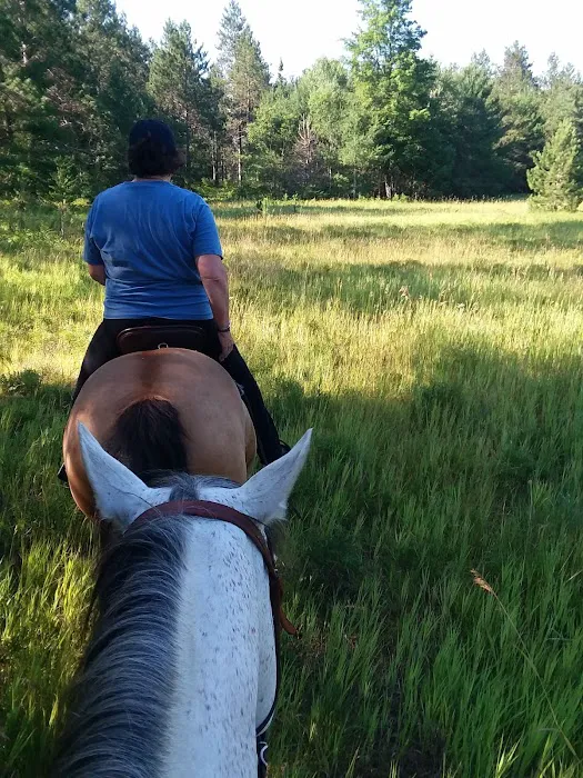 Elk Hill Equestrian State Forest Campground and Trail Camp 5