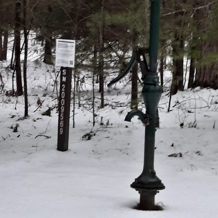Pigeon Bridge State Forest Campground 0