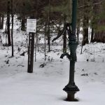 Pigeon Bridge State Forest Campground