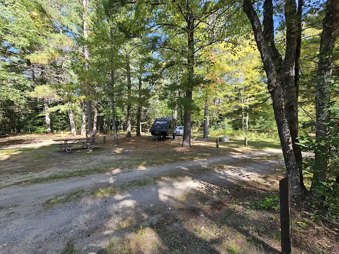 Pigeon Bridge State Forest Campground 3