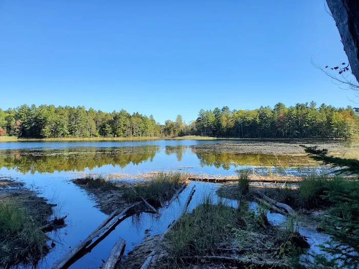 Pigeon Bridge State Forest Campground 4