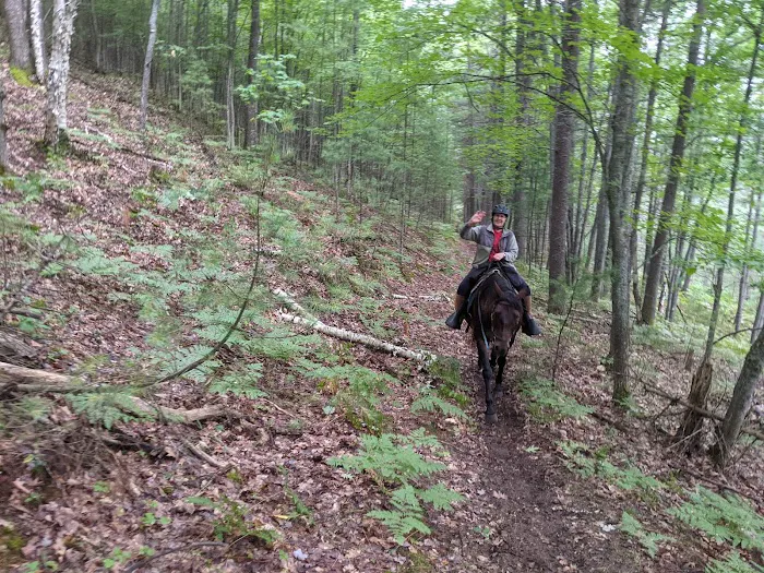 Elk Hill Group Equestrian Campground 8