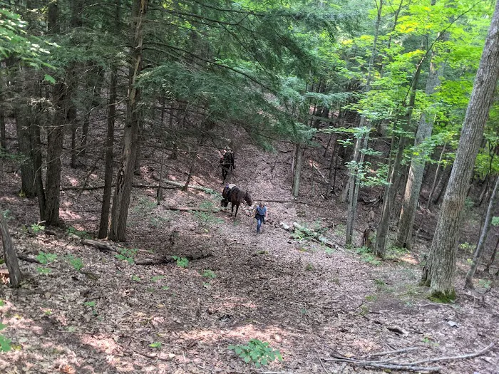 Elk Hill Group Equestrian Campground 4