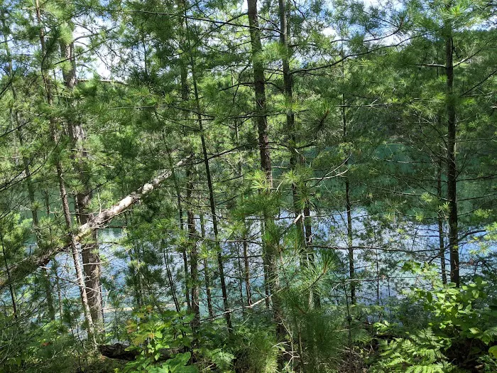 Elk Hill Group Equestrian Campground 7