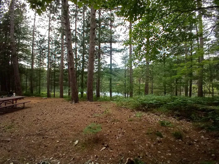 Round Lake State Forest Campground 2