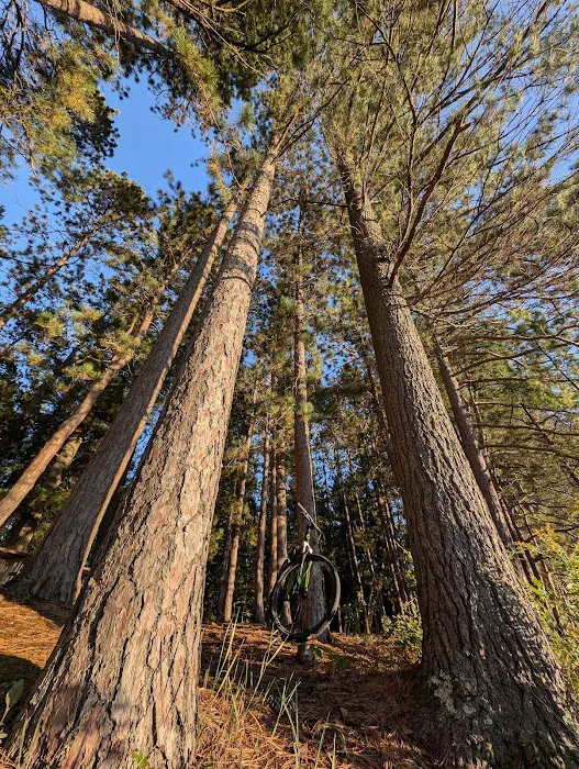 Round Lake State Forest Campground 9
