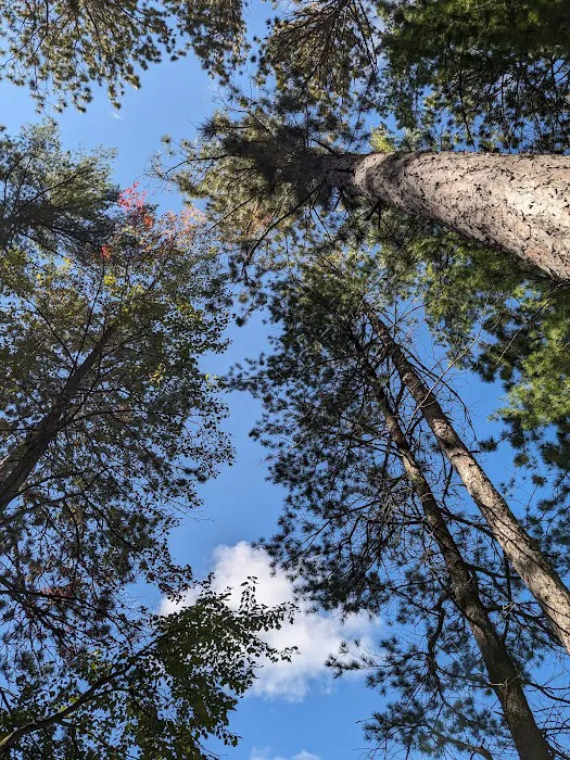 Round Lake State Forest Campground 3
