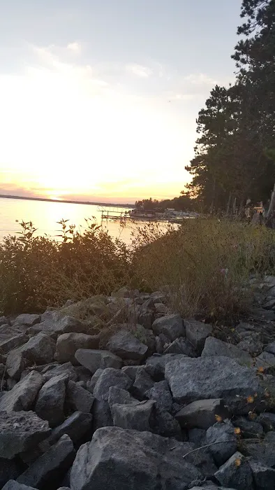 Black Lake State Forest Campground 1