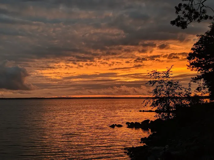 Black Lake State Forest Campground 6