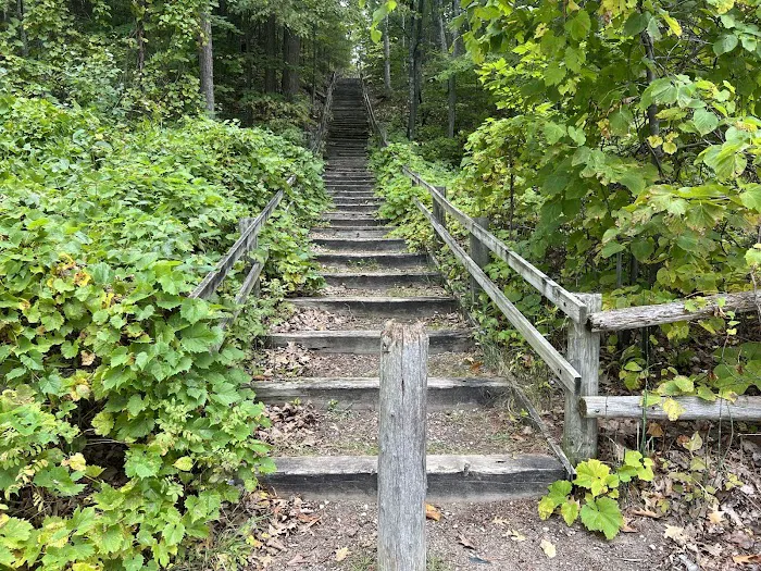 Black Lake State Forest Campground 9
