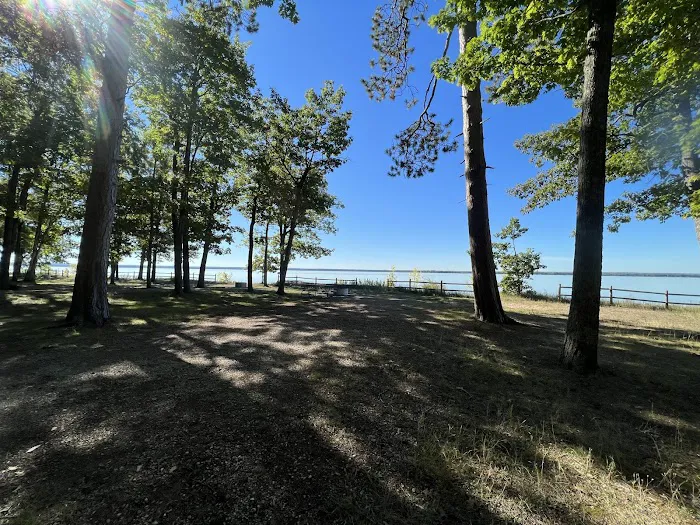 Black Lake State Forest Campground 7