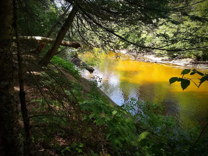 Carp River Campground 3
