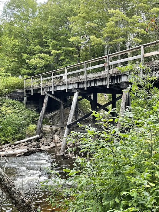 Carp River Campground 8