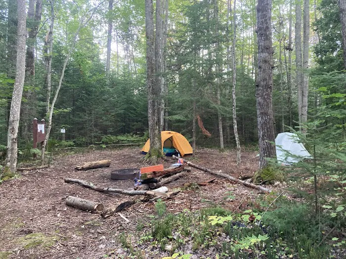 Wilderness State Park Campground 7