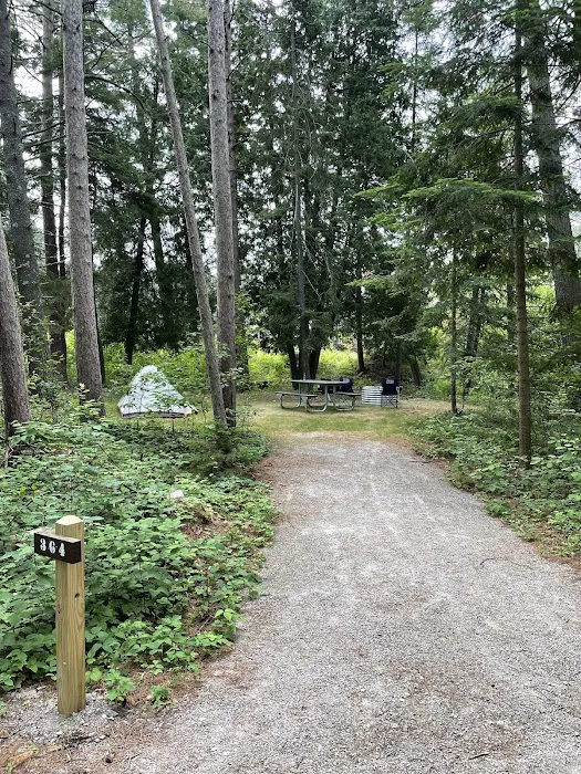 Wilderness State Park Campground 9