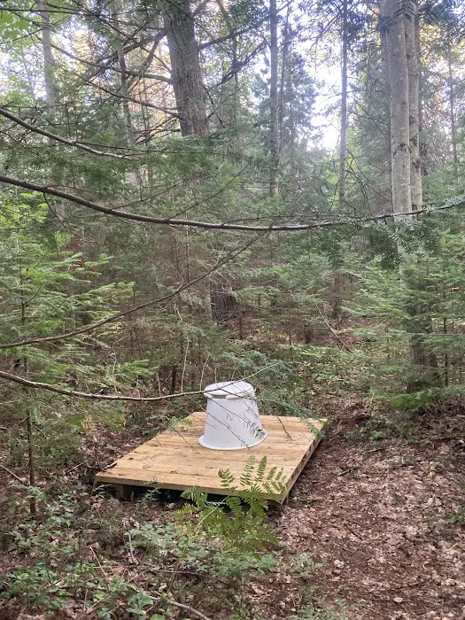 Wilderness State Park Campground 6