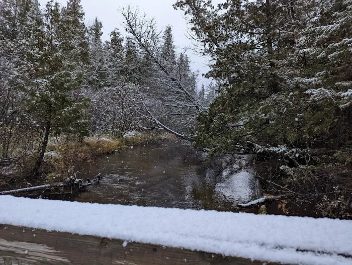 Hartwick Pines State Park Campground 8
