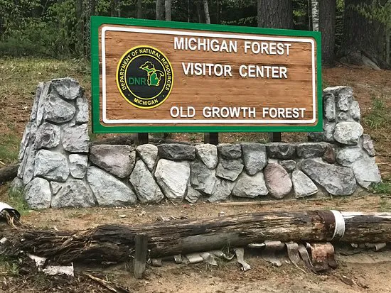 Hartwick Pines State Park Campground 1