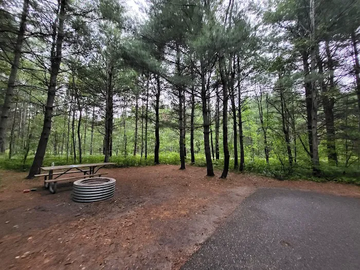 Hartwick Pines State Park Campground 3
