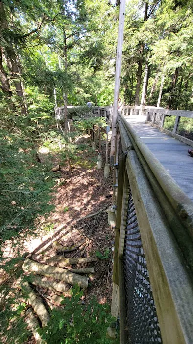 Hartwick Pines State Park Campground 4
